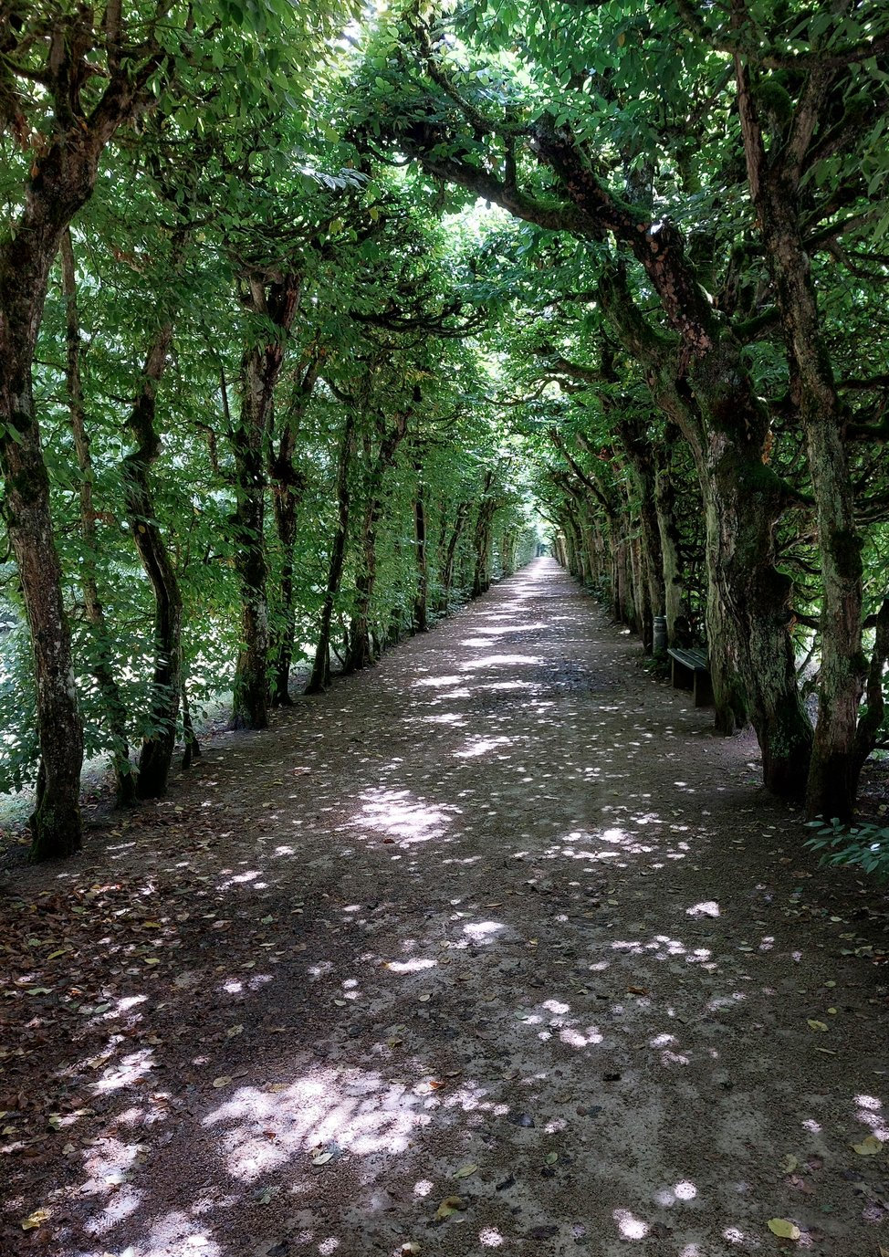 FotoMultiWide1-Eremitage-5