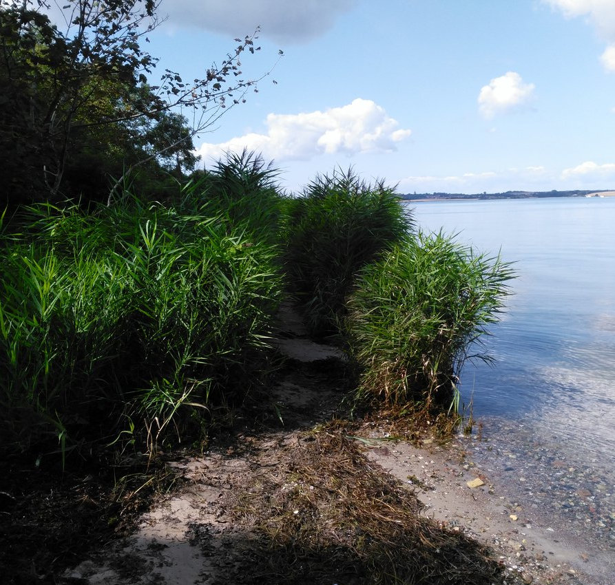 FotoMultiWide1-Flensburg1