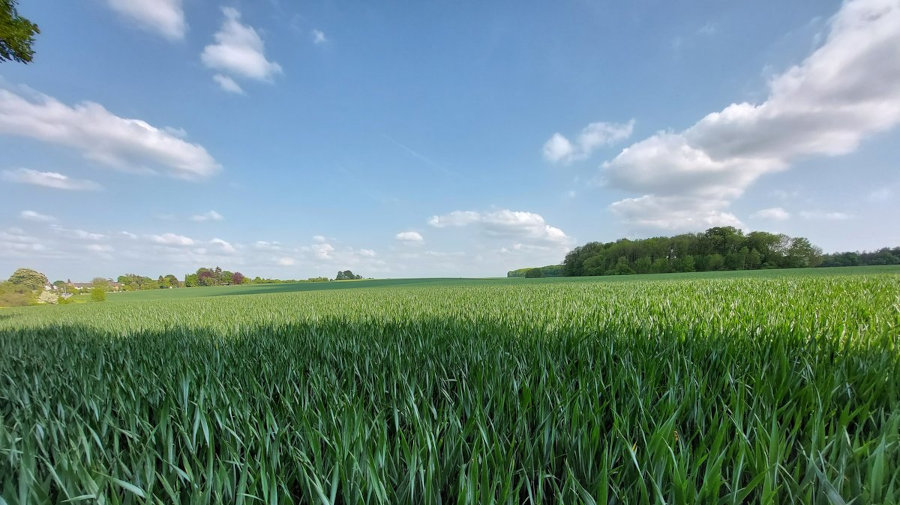 FotoMultiWide1-vinxel2