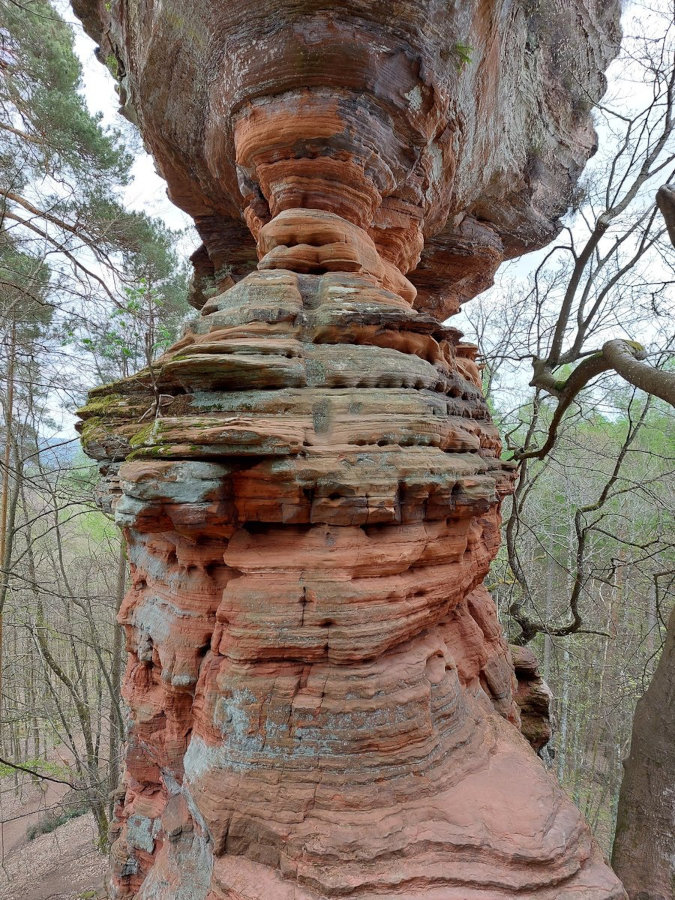 FotoMultiWide1-Altschlossfelsen1
