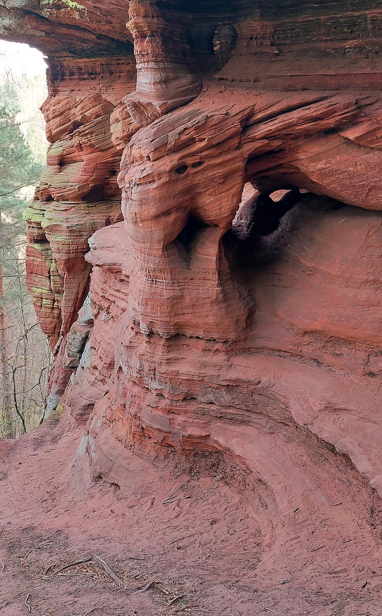 FotoMultiWide1-Altschlossfelsen14