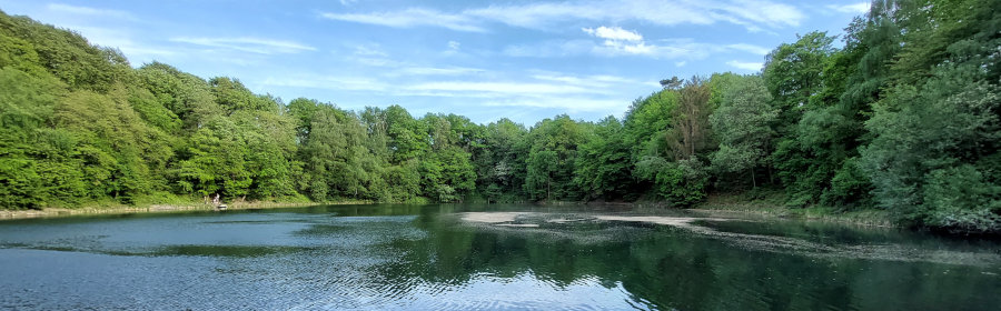 FotoWide1-himbergersee900x280