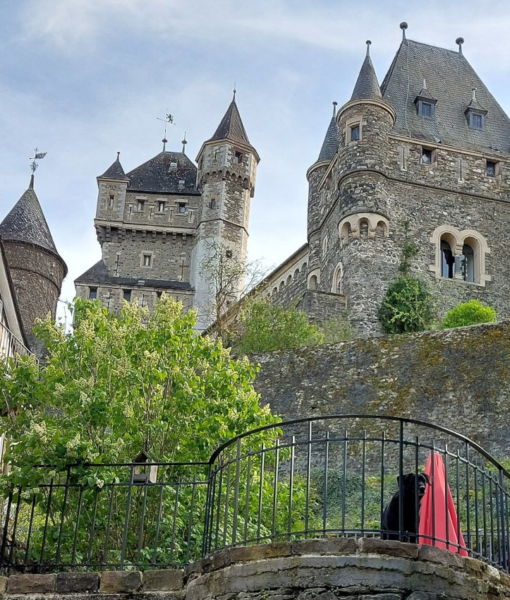 FotoMultiWide1-braunfels4