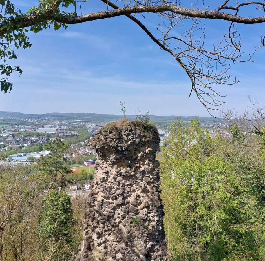 FotoMultiWide1-kalsmunt1