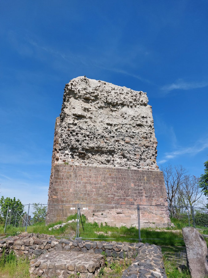 FotoMultiWide1-kalsmunt2