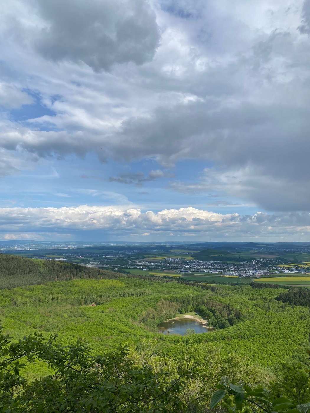 FotoMultiWide1-Waldsee1