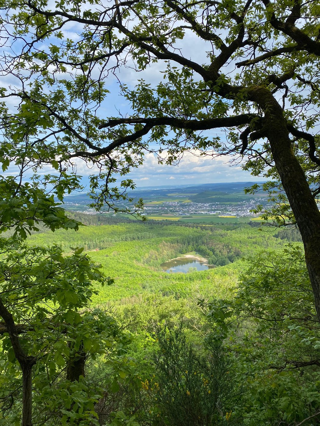 FotoMultiWide1-Waldsee3