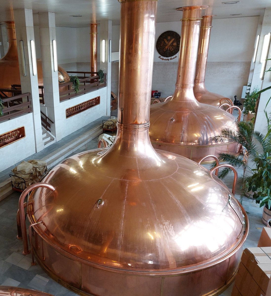 FotoMultiWide1-Budweiser3