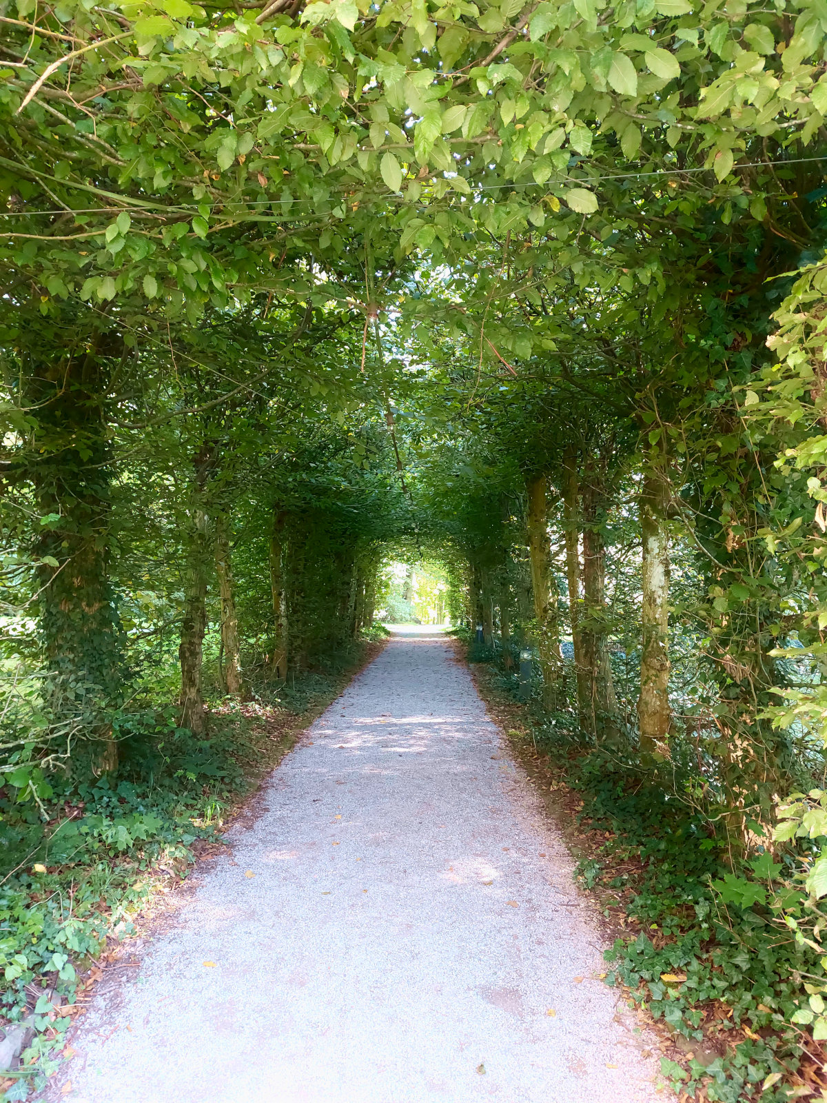 FotoMultiWide1-Rauischholzhausen6