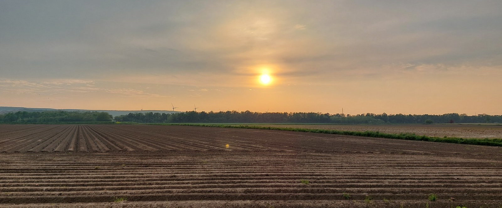 FotoWide1-Terra-Nova-5