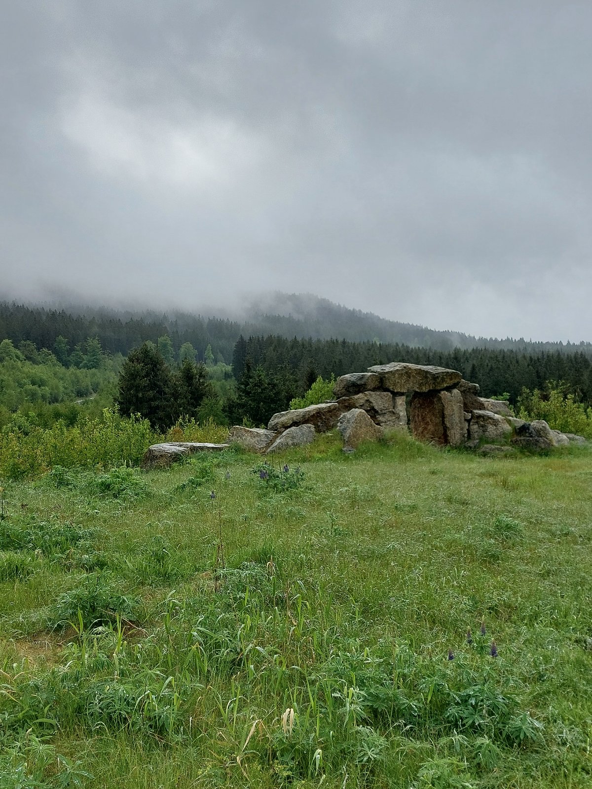 FotoMultiWide1-Kösseine