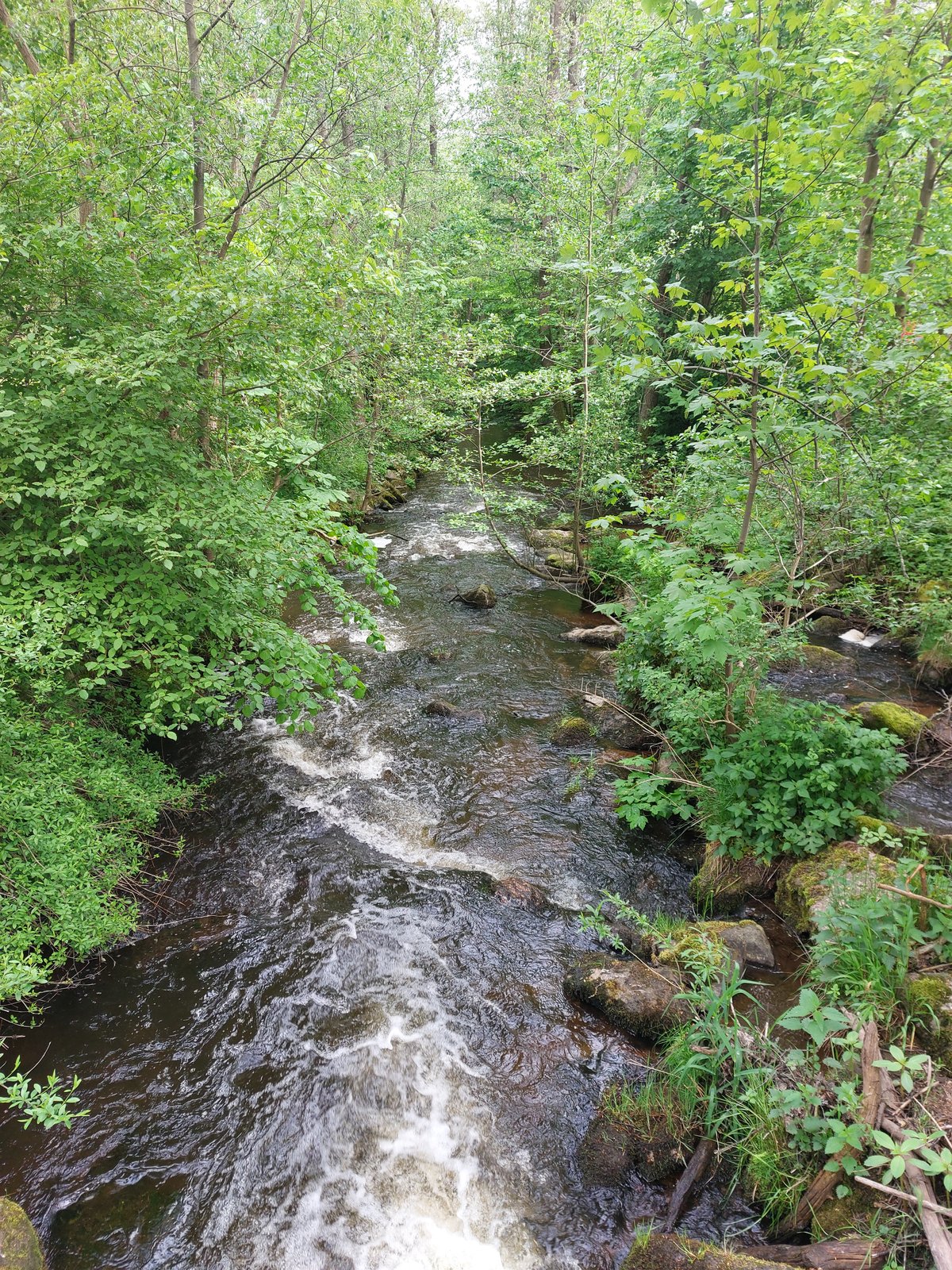 FotoMultiWide1-Wunsiedel-3