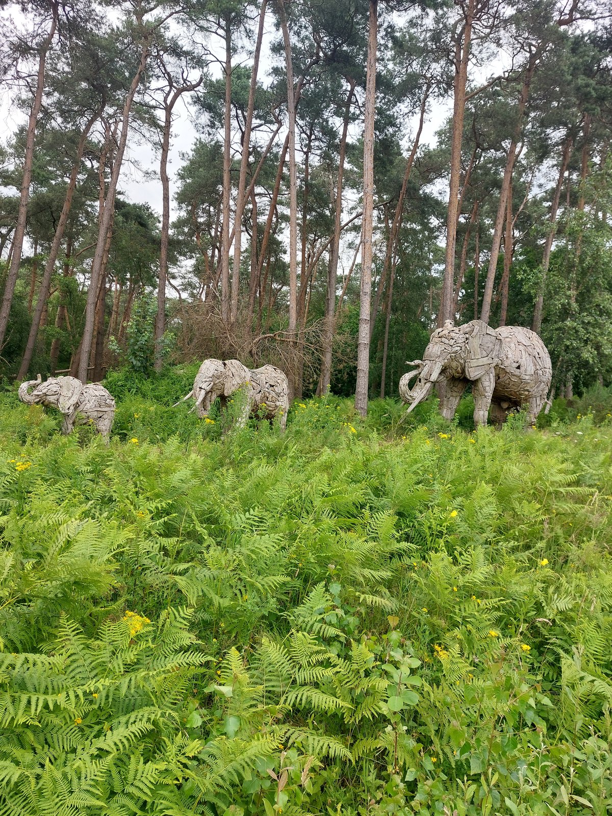 FotoMultiWide1-Belgien-2