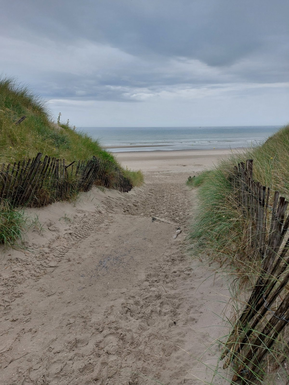 FotoMultiWide1-Belgien-4