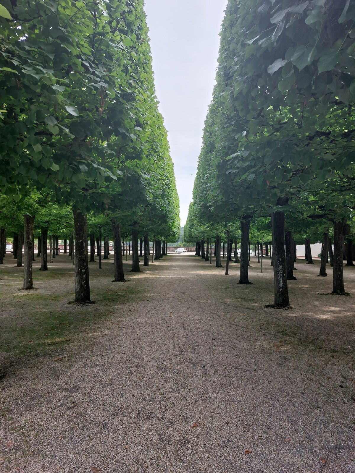 FotoMultiWide1-Weilburg-3