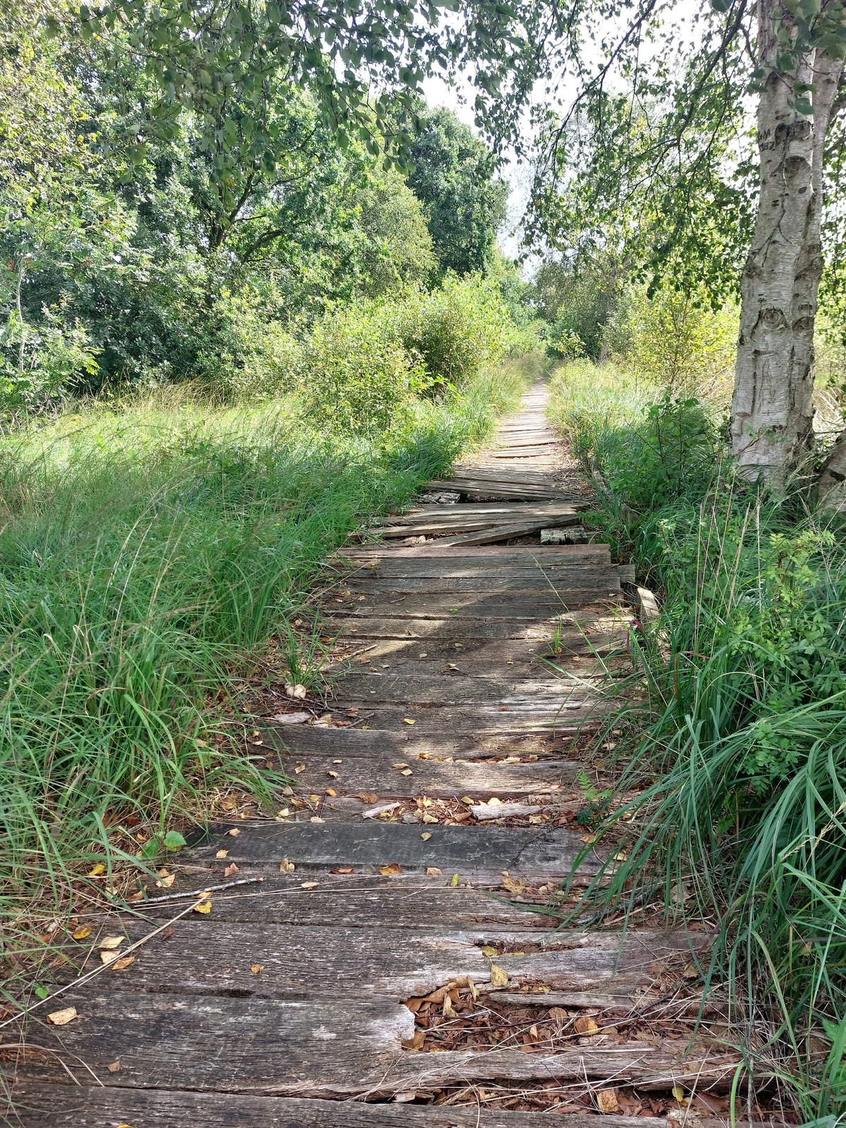 FotoMultiWide1-Ewiges-Meer1