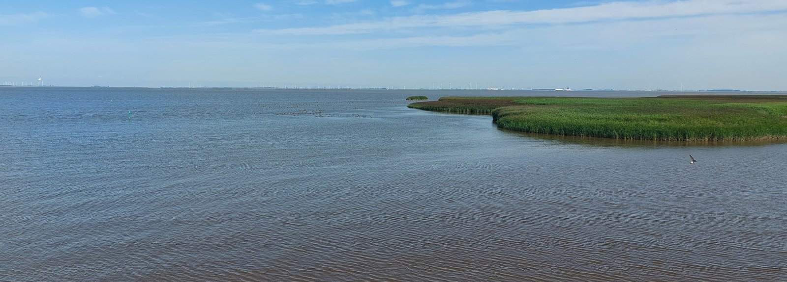 FotoWide1-Kiekkaaste2