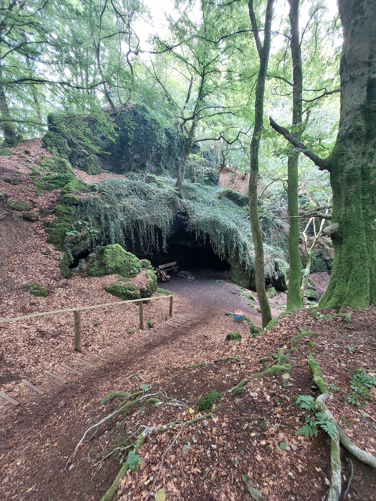 FotoMultiWide1-Genoveva1