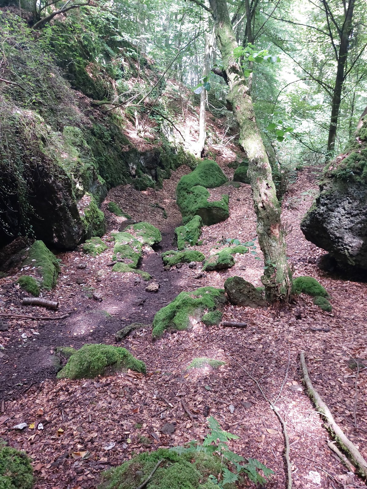 FotoMultiWide1-Genoveva2