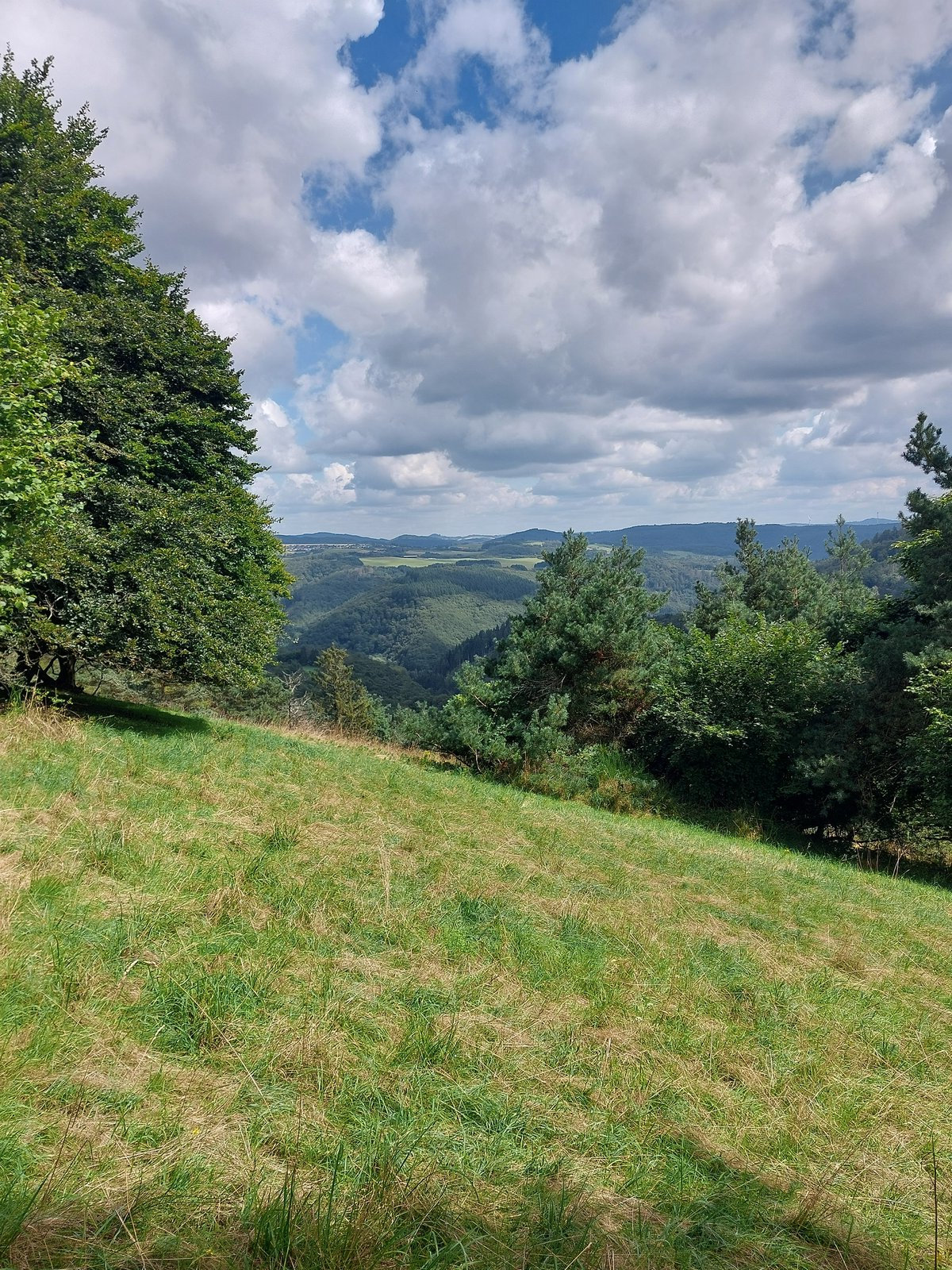 FotoMultiWide1-Genoveva7