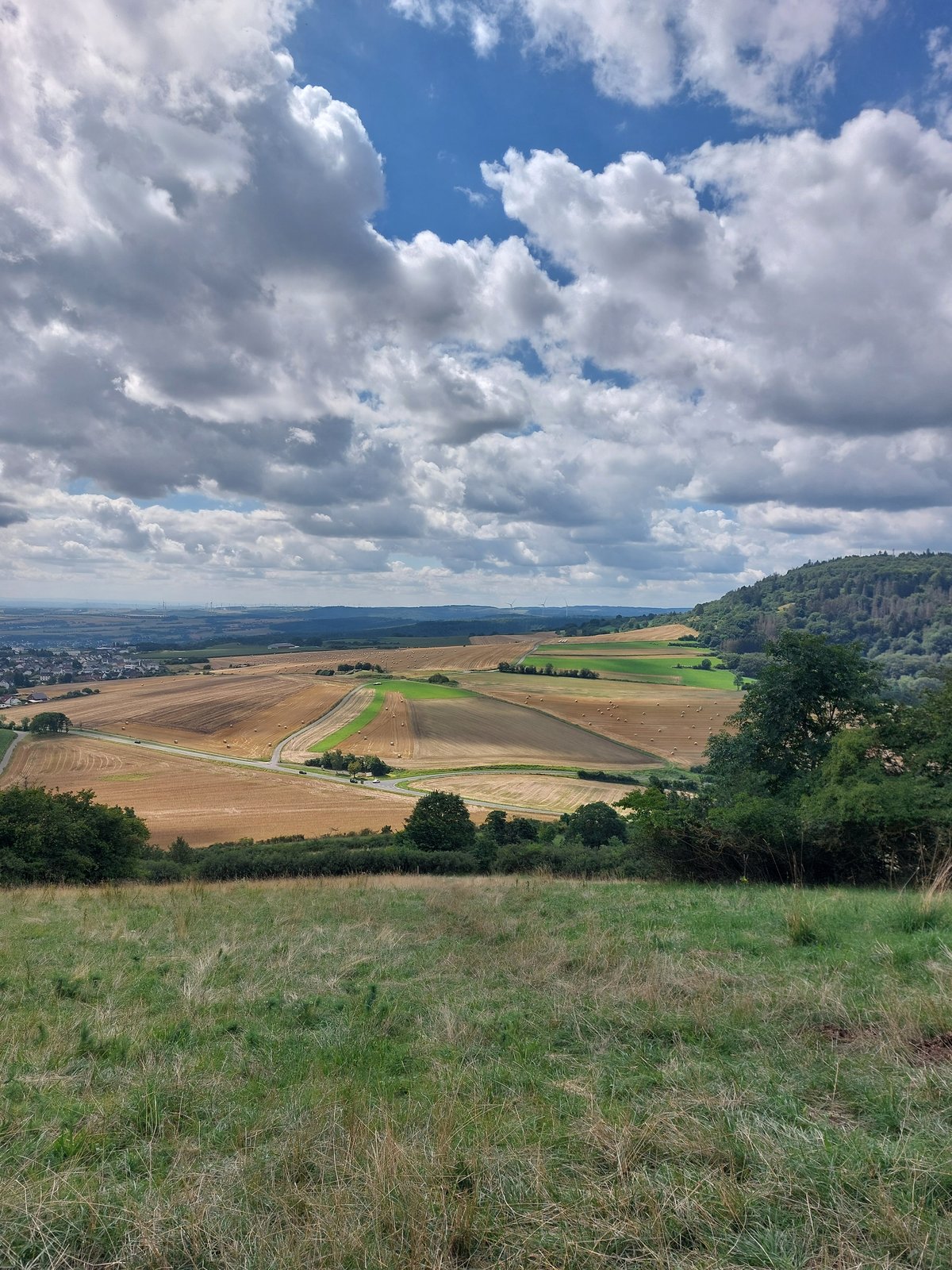 FotoMultiWide1-Genoveva8