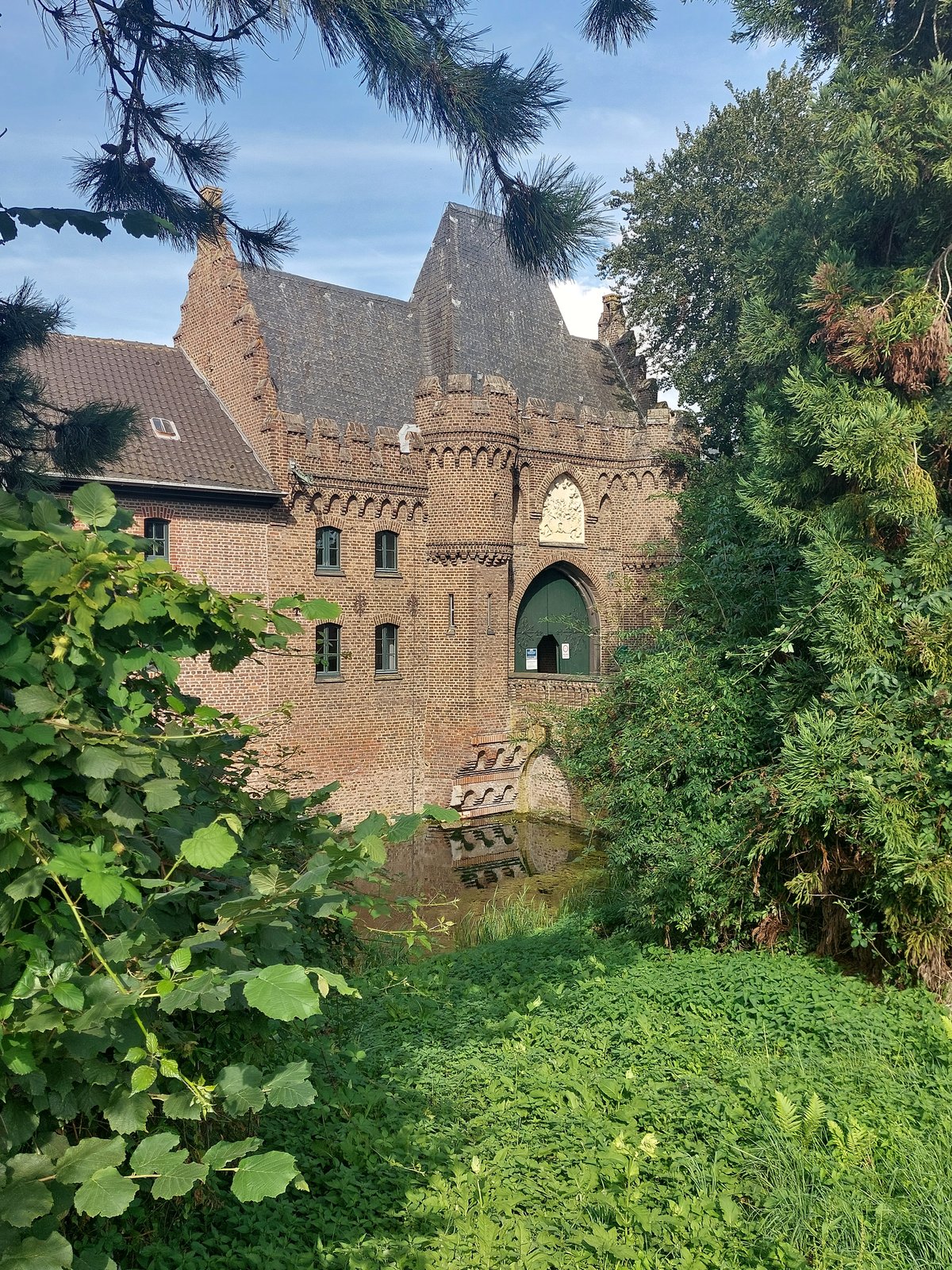 FotoMultiWide1-Paffenberg1