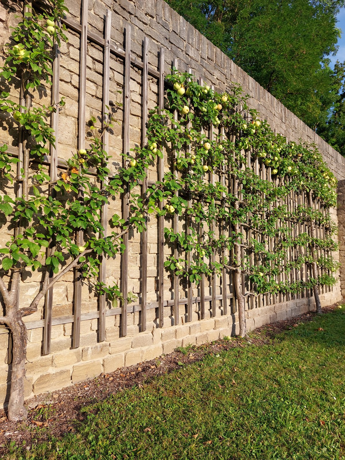 FotoMultiWide1-Veitshoechheim10