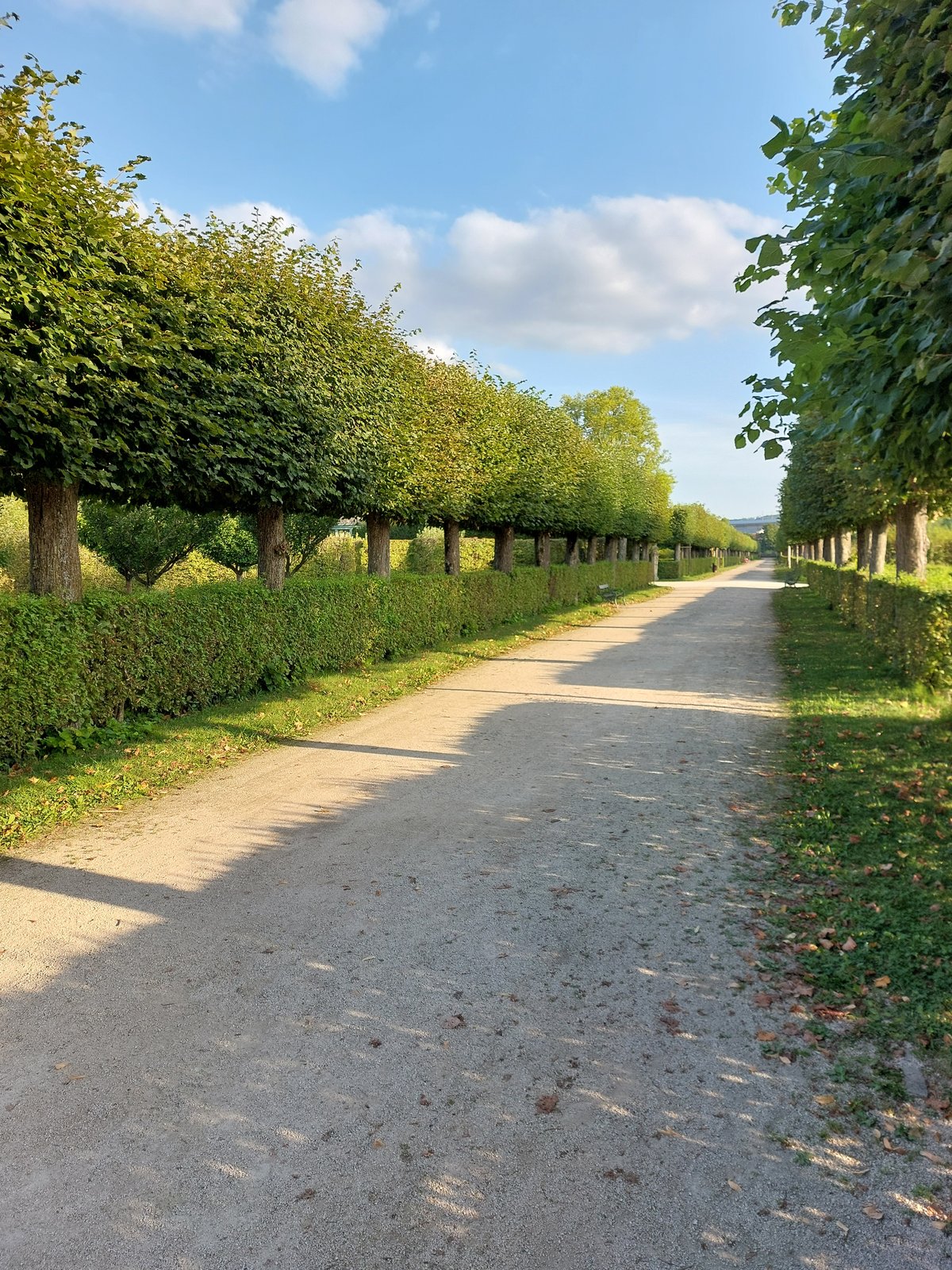 FotoMultiWide1-Veitshoechheim20