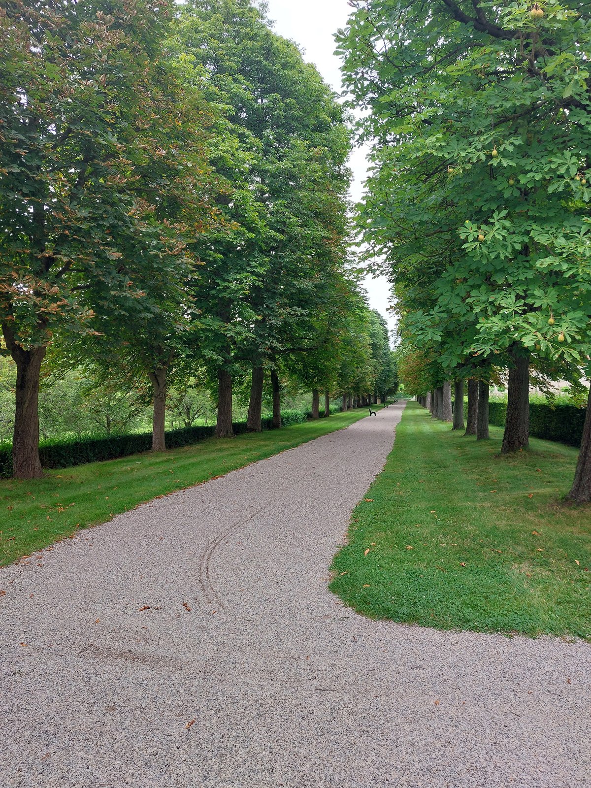 FotoMultiWide1-Weikersheim16