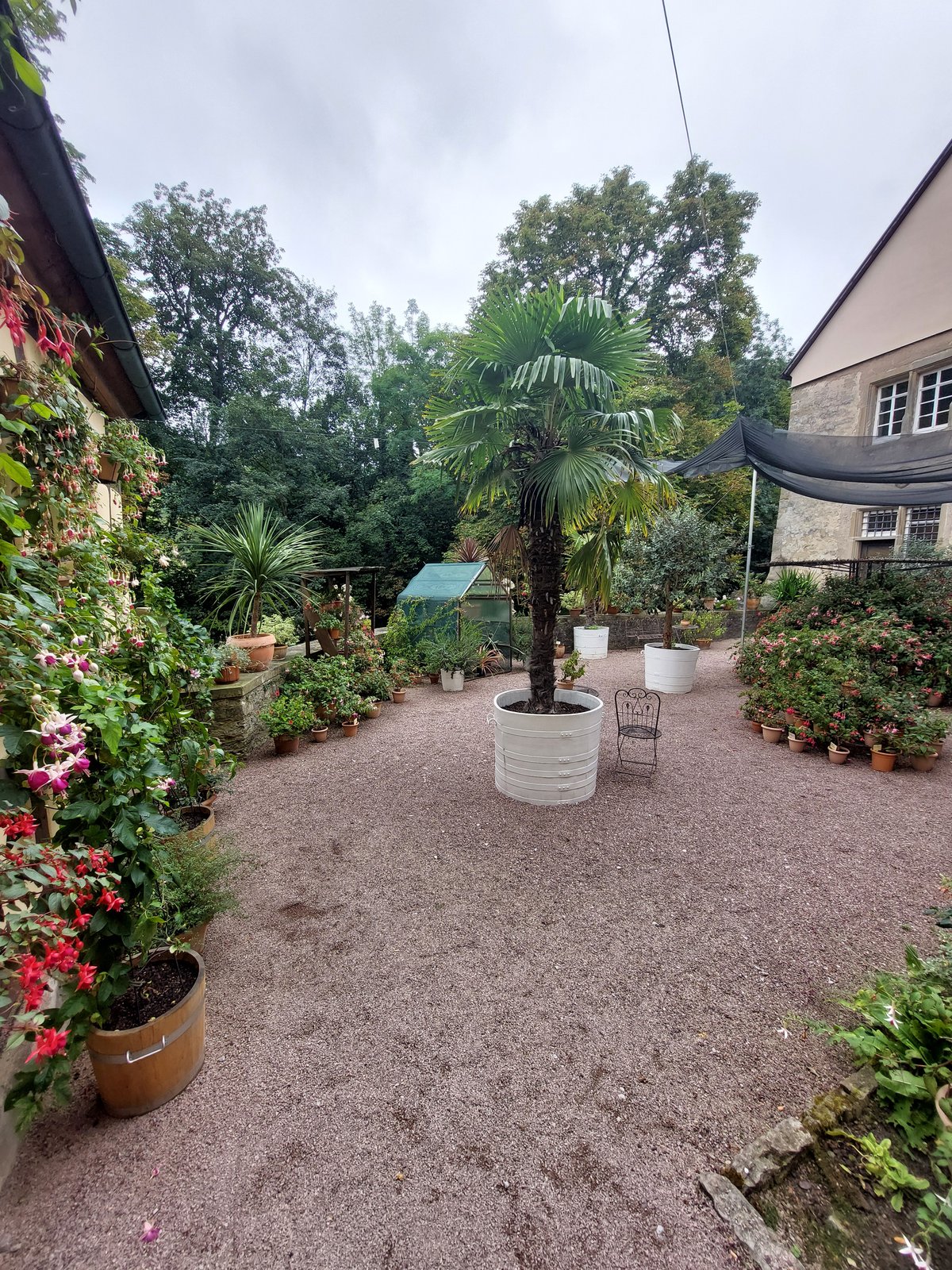 FotoMultiWide1-Weikersheim4