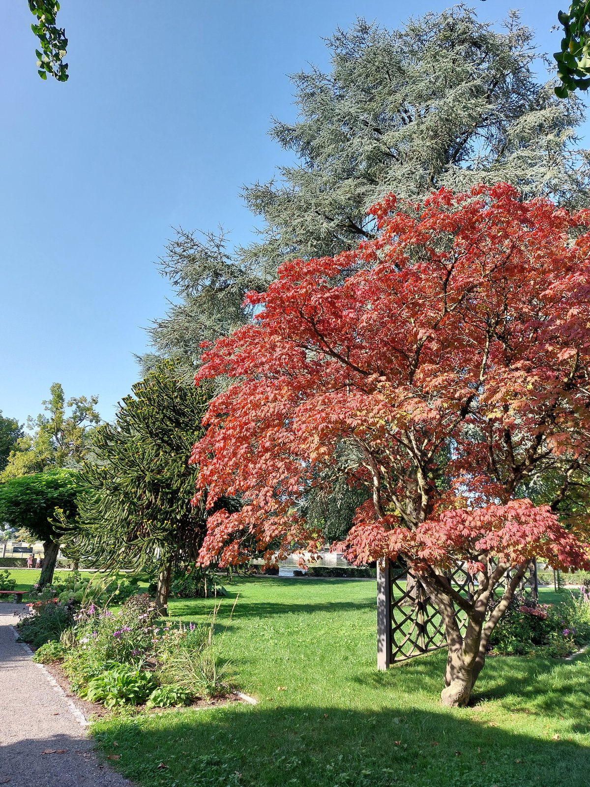 FotoMultiWide1-Lindau-7