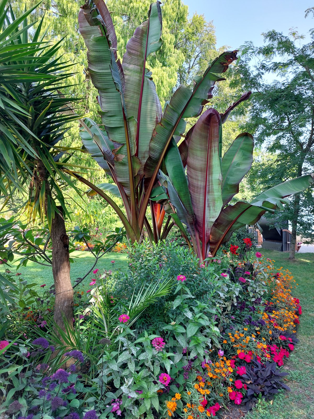 FotoMultiWide1-Mainau-11