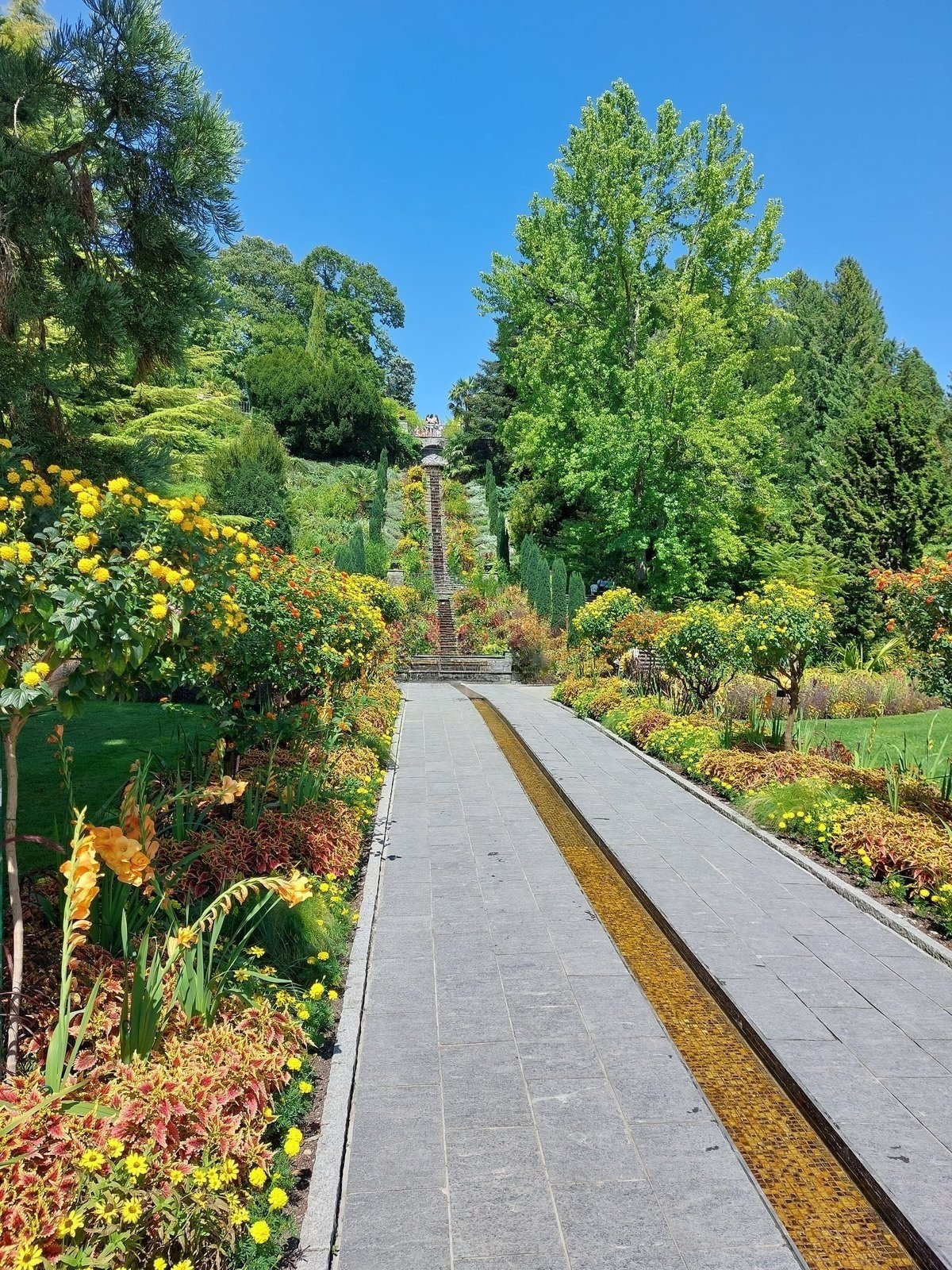 FotoMultiWide1-Mainau-4