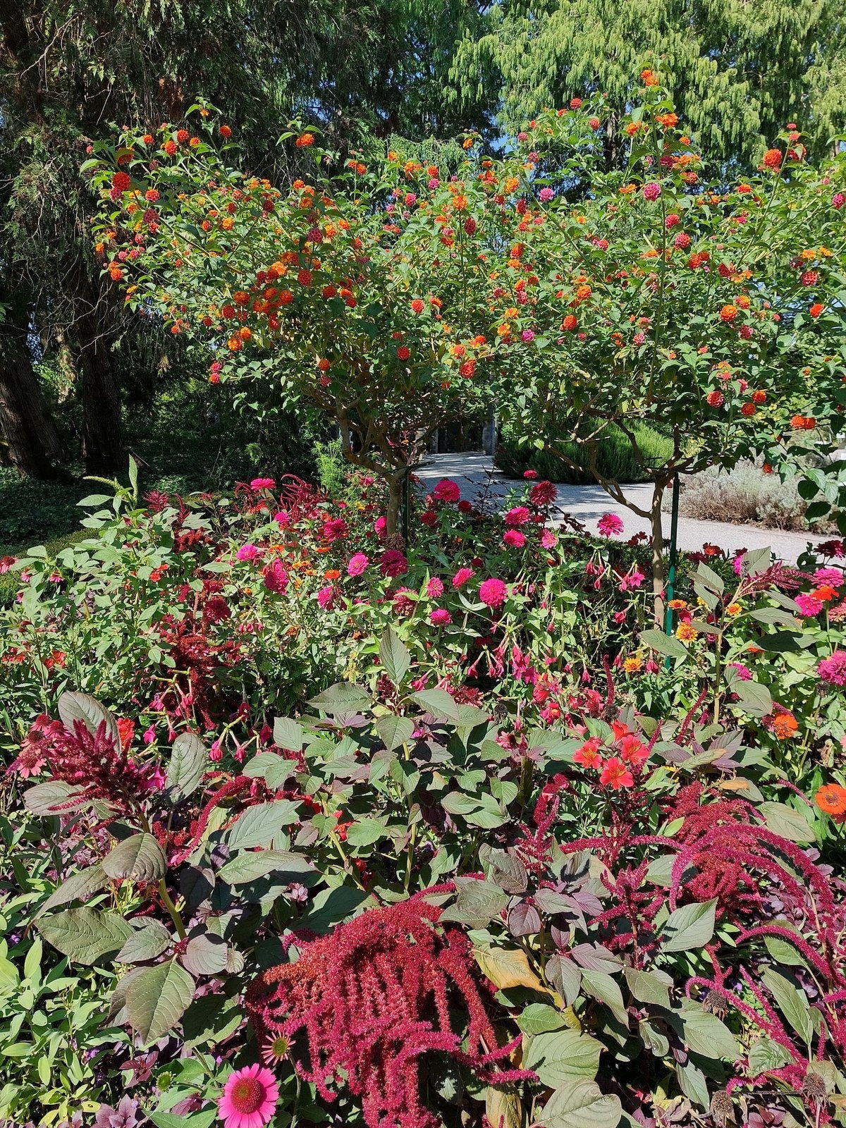 FotoMultiWide1-Mainau-6