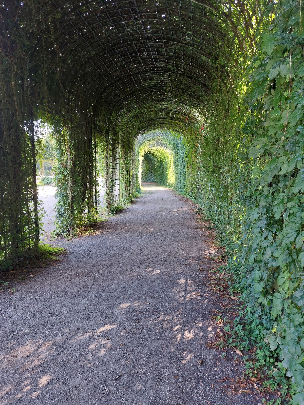 FotoMultiWide1-Schwetzingen-2