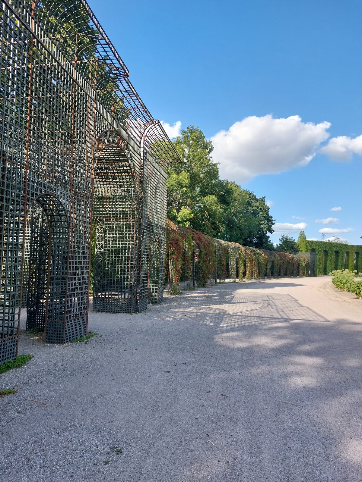 FotoMultiWide1-Schwetzingen-4