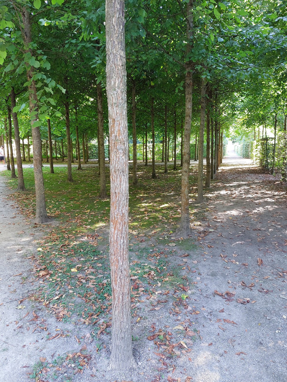 FotoMultiWide1-Schwetzingen-8