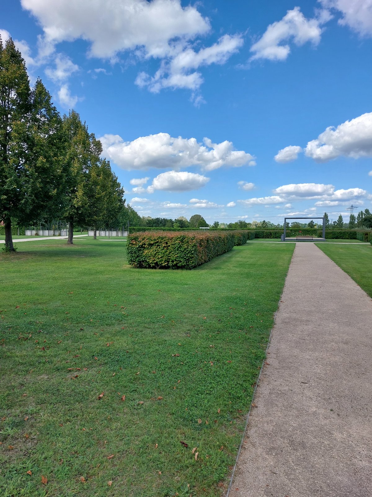 FotoMultiWide1-Waghaeusel-2